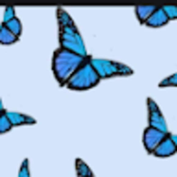 Meet your Posher, Kyndal - Picture 1 of 1